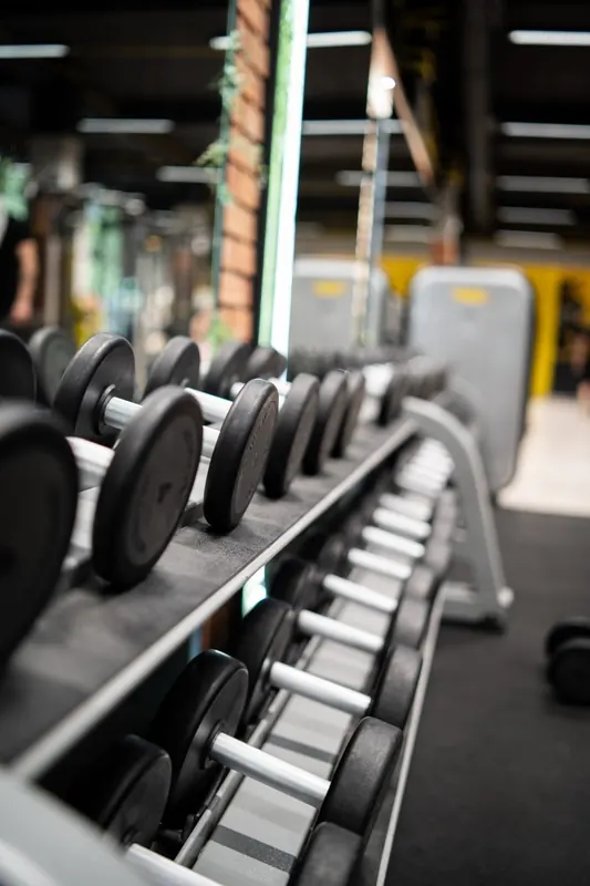 Rows of dumbbells on the rack