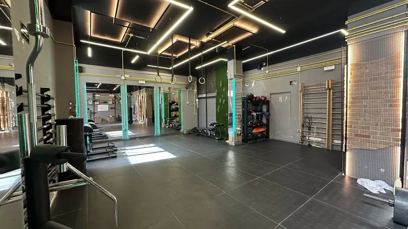 Functional area with gymnastic rings, wall bars and mirrors